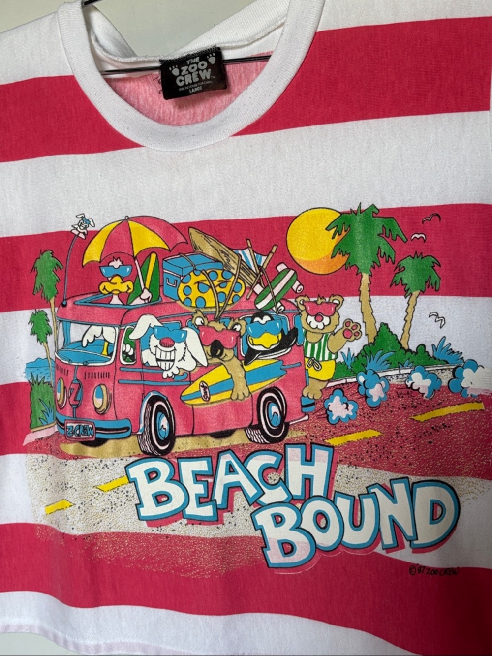 The Zoo Crew Beach Bound Striped Graphic Vintage Boxy Tee 1987 Surf - Picture 6 of 9
